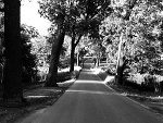Fotoblog bellivee