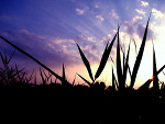 Fotoblog agaajestem