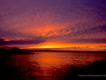 Fotoblog dominiq002