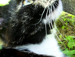 Fotoblog nataliajagoda
