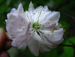 Fotoblog stayofhappy