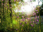 Fotoblog dmagda16
