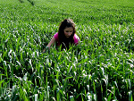Fotoblog cytayx3