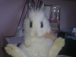 Fotoblog merl1nka1