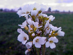 Fotoblog pokochajmniecala