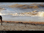 Fotoblog bl00dytamp0nz