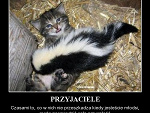 Fotoblog pechowiec13