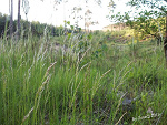 Fotoblog damianjaneq