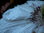 Fotoblog camilla23