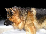 Fotoblog lukaszek4231