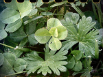 Fotoblog dachitaru