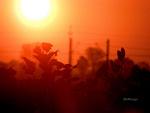 Fotoblog xwhysoseriousx