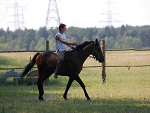 Fotoblog gadzinski