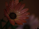 Fotoblog przemo951