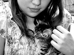 Fotoblog meri