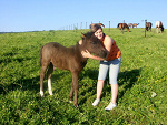 Fotoblog sylly