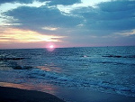 Fotoblog sugarsnaps