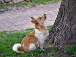 Fotoblog radek13