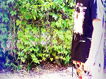 Fotoblog snakey