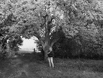 Fotoblog asiulka002