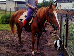Fotoblog gniaada