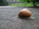 Fotoblog usmiechnietazawsze