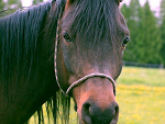 Fotoblog galooop
