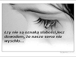 Fotoblog lolipo0p