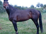 Fotoblog wagnieszka