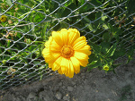 Fotoblog ffbbll