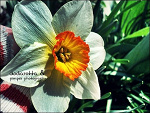 Fotoblog mixlove