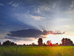 Fotoblog michal302