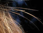 Fotoblog anielemoj