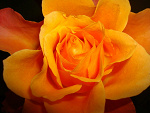 Fotoblog karmelista