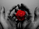 Fotoblog nervus1004
