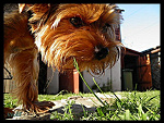 Fotoblog wilczekk