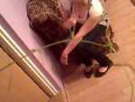 Fotoblog gdziesamojekredkix3
