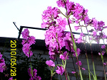 Fotoblog anetka34
