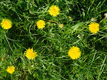 Fotoblog patrycja222