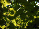 Fotoblog rightintwo