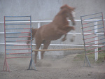 Fotoblog czechu1234
