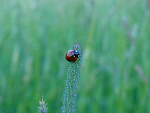 Fotoblog manypany83
