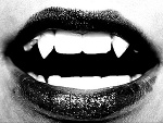 Fotoblog mrcznamilady
