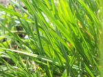 Fotoblog idamakier