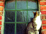 Fotoblog marysthemaster