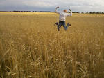 Fotoblog bing