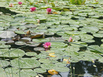 Fotoblog psajdak1