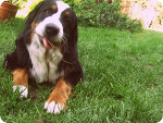 Fotoblog kate3