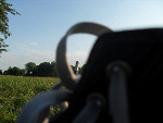 Fotoblog ladybiedronka