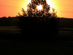 Fotoblog digame